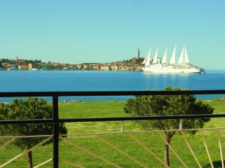 Stella Mare Apartments - Rovinj - 0