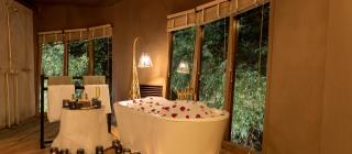 Banjaar Tola Kanha National Park - A Taj Safari Lodge - Kānha - 7