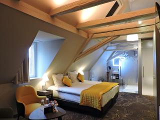 Hotel Restaurant L'Orchidee - Ensisheim - 0