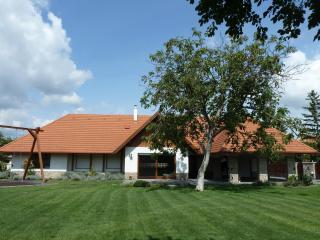 Villa Holiday - Poroszló - 9