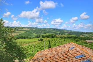 Podere Il Tigliolo - Castiglione dʼOrcia - 2