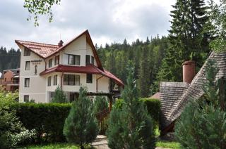 Pensiunea Sura Dacilor - Alex - Poiana Brasov - 8