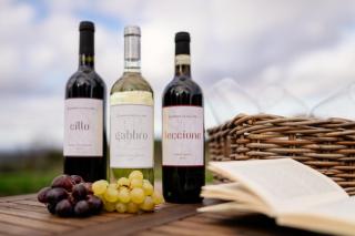Borgo Le Colline Luxury Agriturismo in Tuscany - Gambassi Terme - 4