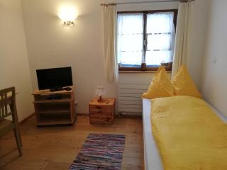 Gasthaus & Hotel Berninahaus - Pontresina - 2