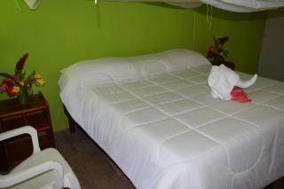 Explorama Lodge - Francisco de Orellana - 4