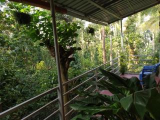StaySimple Spicefarm - Somvārpet - 8