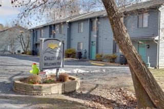 Chalet High - Basye - 9