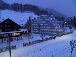 Nice Apartment private host Engelberg - Engelberg - 9