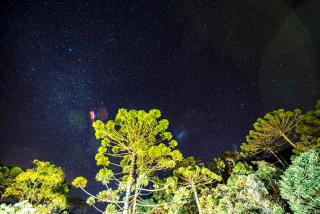 Estalagem Engenho de Serra - Parque Nacional do Itatiaia - Parte Alta - Itamonte - 1