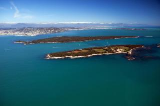 Venizelos - Cannes - 2