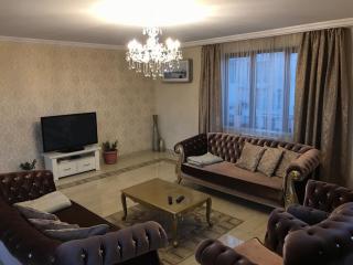 Lesya Apartment with Terrace - Tbilisi - 1