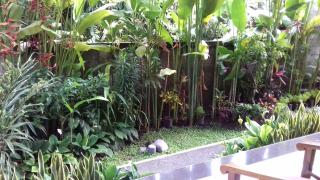 Taman Puspa - Ubud - 5