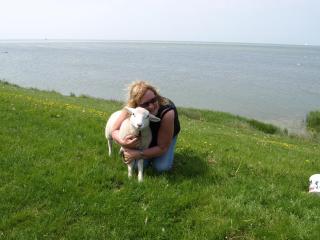 De iisfugel - Gaast - 2