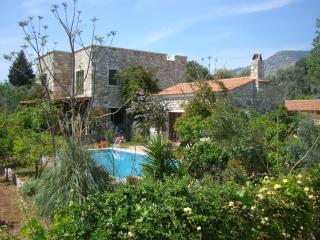 Villa Mandarin by Important Group Travel - 6