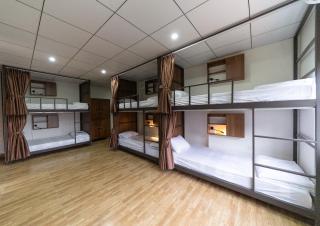 Central Backpackers Hostel - Phong Nha - Phong Nha - 4