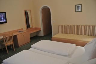 Landhotel Stofflerwirt - Sankt Michael im Lungau - 8