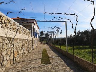 Quinta Ribeiro Tanquinhos - Tancos - 1