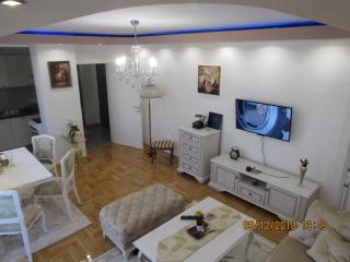 Apartman Tea 2 - Banja Luka - 3