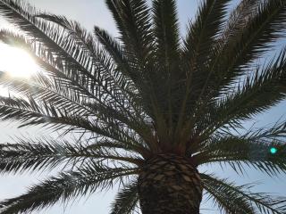 Villa Bozana - Trogir - 5