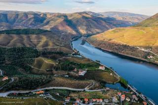 Quinta Da Azenha - Folgosa - 5