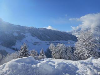Stockhof - Zell am Ziller - 2