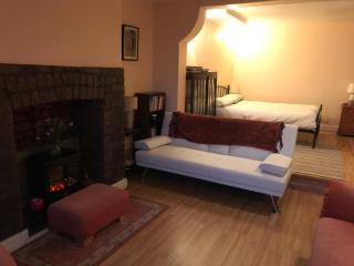 Ground Floor - view of Lighthouse, Garden and Parking - Swansea - 9