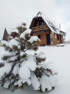 Brvnara Zlatiborka - Zlatibor - 6