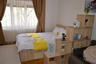Joy City Stay Prefectura 1 - Timişoara - 8