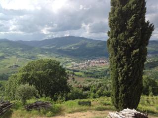 Agriturismo Prato Barone - Rufina - 5