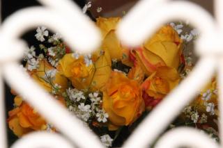 Riad Clémentine - Marraquexe - 2