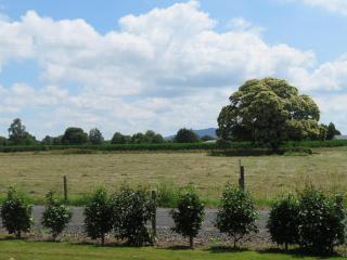 Walnut Lodge B&B - 3