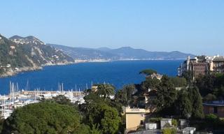 Balcone sul Tigullio - Rapallo - 8