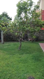 B&B melody - Fiumicino - 3