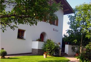 Tollhof - Bolzano - 4
