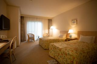 Kyu Karuizawa Hotel Otowa No Mori - Karuizawa - 5