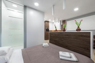 Apartament Luxury Miedzyborska 8b - 2