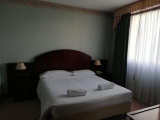 Venice Palace Hotel - Mirano - 7