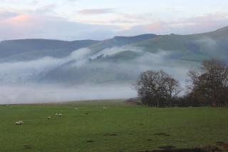 The Royston - Llanbrynmair - 8
