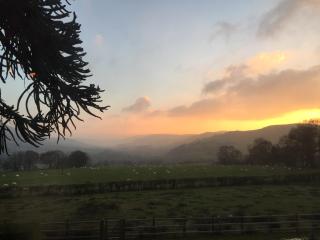 The Royston - Llanbrynmair - 1