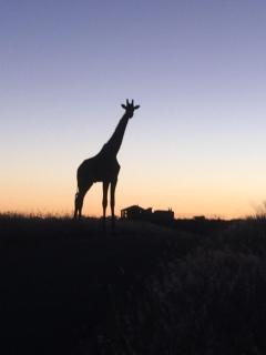 Windhoek Rural Self Catering - Voigtland - 0