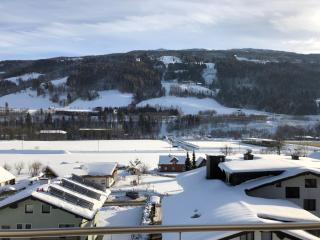 Sunshine Apartments - Great Mountain View - Schladming - 1