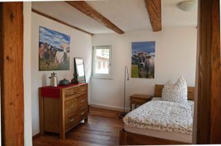 Mendlers Ferienwohnung - Wangen im Allgäu - 4