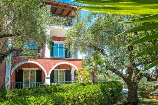 Liofyto Apartments - Laganas - 4