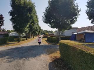Camping L'oiseau Blanc - Sassetot-le-Mauconduit - 2