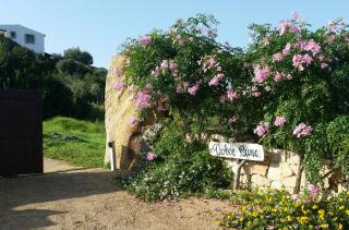 Dolce Luna - Arzachena - 1