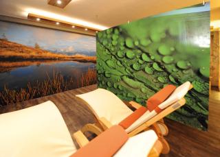 Ski in Ski out Hotel Unterellmau - 2