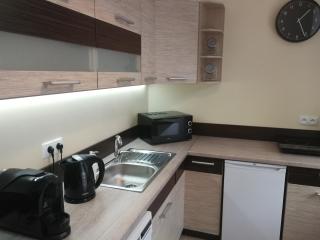 Apartament Parkowy - Duszniki-Zdrój - 1