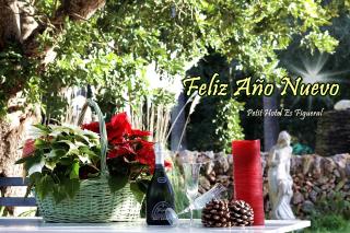 Petit Hotel Es Figueral - 1
