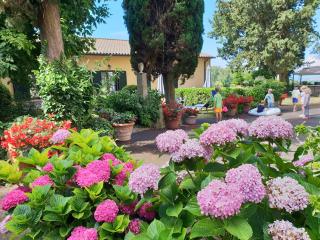 Residence Villa Elena - Guardistallo - 8
