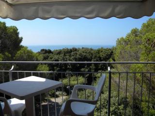 Hotel Rosa Del Tirreno - 3